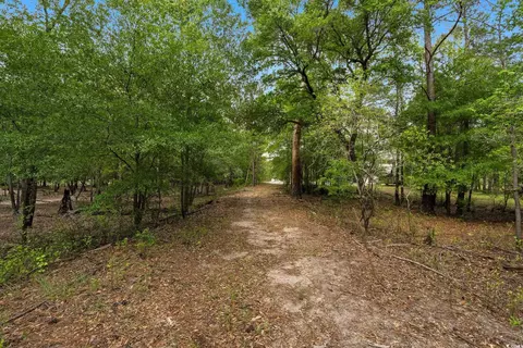 360 Cypress Flat Ct, Conway, SC 29526 photo 27