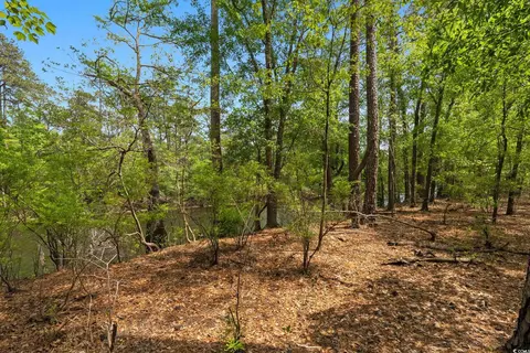 360 Cypress Flat Ct, Conway, SC 29526 photo 22