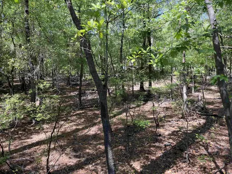 360 Cypress Flat Ct, Conway, SC 29526 photo 10