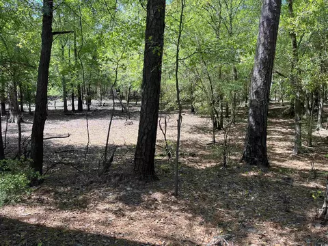 360 Cypress Flat Ct, Conway, SC 29526 photo 9