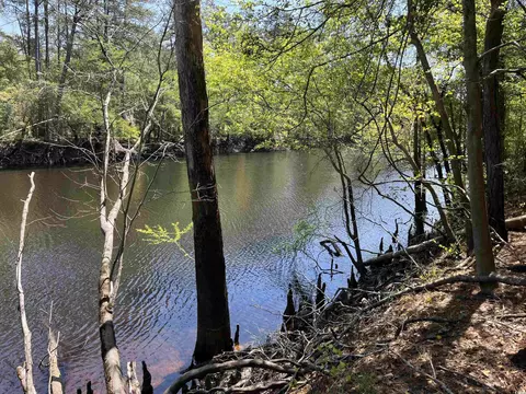 360 Cypress Flat Ct, Conway, SC 29526 photo 8