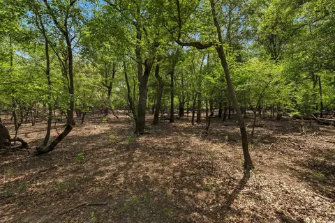 360 Cypress Flat Ct, Conway, SC 29526 photo 16