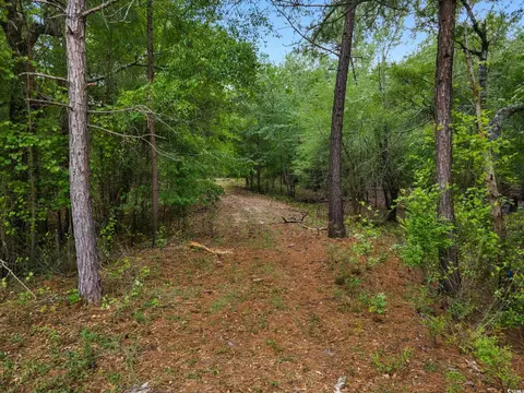 360 Cypress Flat Ct, Conway, SC 29526 photo 32
