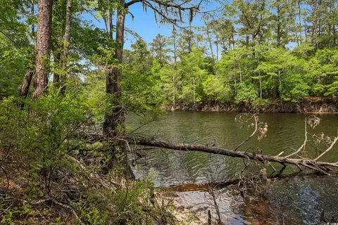 360 Cypress Flat Ct, Conway, SC 29526 photo 24