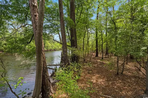 360 Cypress Flat Ct, Conway, SC 29526 photo 13