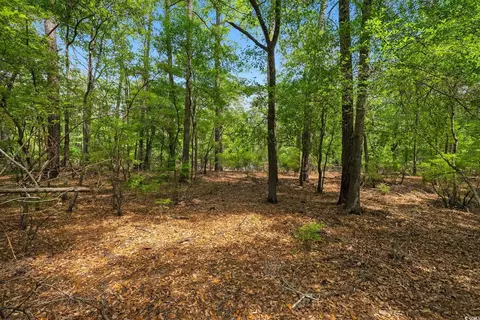 360 Cypress Flat Ct, Conway, SC 29526 photo 21