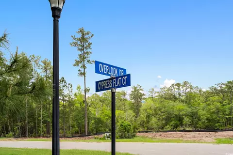 360 Cypress Flat Ct, Conway, SC 29526 photo 35