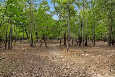 360 Cypress Flat Ct, Conway, SC 29526 photo 26
