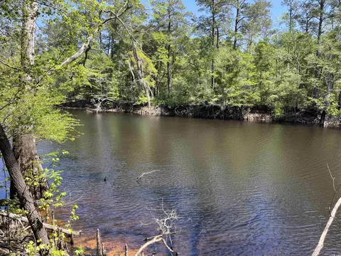 360 Cypress Flat Ct, Conway, SC 29526 photo 7