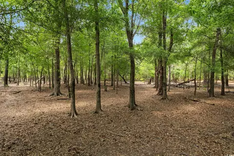 360 Cypress Flat Ct, Conway, SC 29526 photo 25