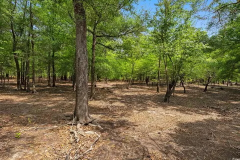 360 Cypress Flat Ct, Conway, SC 29526 photo 20