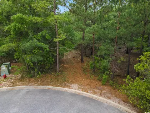 360 Cypress Flat Ct, Conway, SC 29526 photo 30