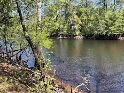 360 Cypress Flat Ct, Conway, SC 29526 photo 5