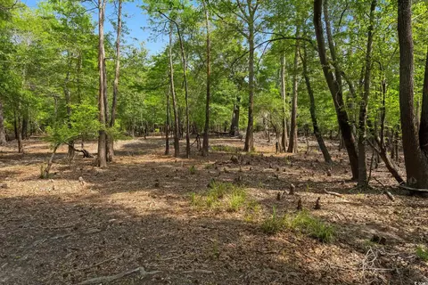 360 Cypress Flat Ct, Conway, SC 29526 photo 19