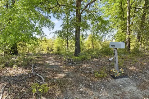 Exterior - 7530 Maple Swamp Rd, Gresham, SC 29546 photo 7 of 7