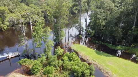 View/Area - 476 Honeyhill Loop, Conway, SC 29526 photo 4 of 7