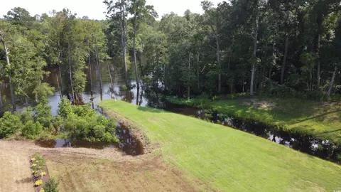 View/Area - 476 Honeyhill Loop, Conway, SC 29526 photo 5 of 7