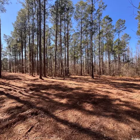 0 Goose Bay Rd, Loris, SC 29569
