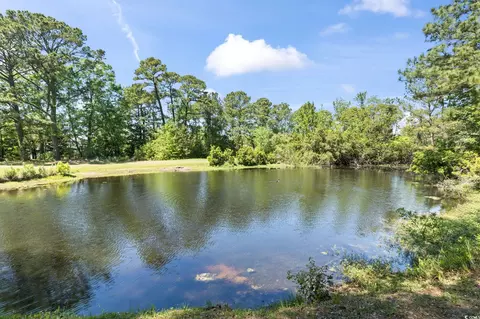 1646 Bay Tree Ln, Surfside Beach, SC 29575 photo 34