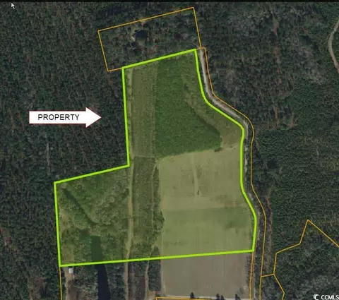 tbd Womack Rd, Nichols, SC 29581