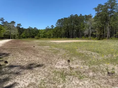 tbd Johnson Rd, Georgetown, SC 29440 photo 5