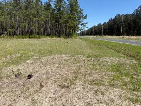 tbd Johnson Rd, Georgetown, SC 29440 photo 6