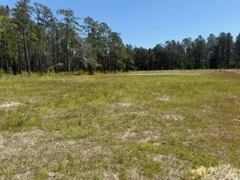 tbd Johnson Rd, Georgetown, SC 29440 photo 3