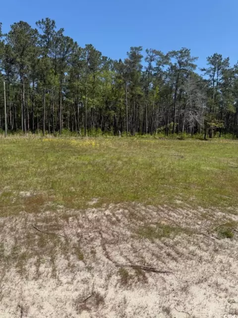 tbd Johnson Rd, Georgetown, SC 29440 photo 2