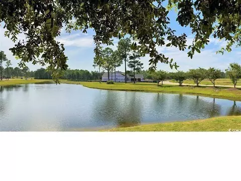 View/Area - 1232 Needle Grass Loop, Myrtle Beach, SC 29579 photo 2 of 3