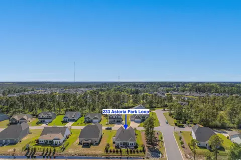 View/Area - 233 Astoria Park Loop, Conway, SC 29526 photo 2 of 5