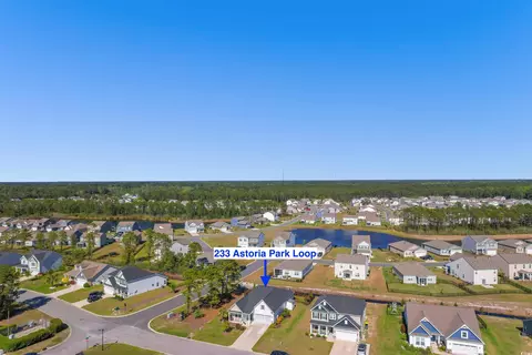 View/Area - 233 Astoria Park Loop, Conway, SC 29526 photo 3 of 5