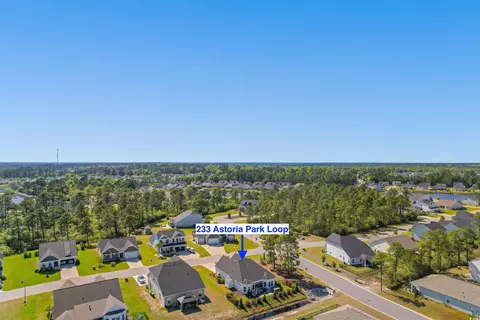 View/Area - 233 Astoria Park Loop, Conway, SC 29526 photo 5 of 5