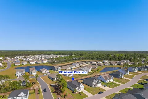 View/Area - 233 Astoria Park Loop, Conway, SC 29526 photo 4 of 5