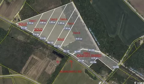 Tract 3 Borkowitz Rd., Scranton, SC 29591