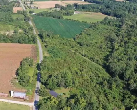 Tract 6 Borkowitz Rd., Scranton, SC 29591 photo 2