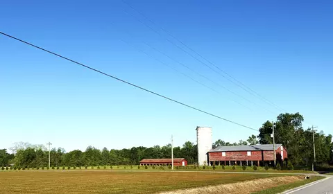 tbd Red Barn Tr Borkowitz Rd, Scranton, SC 29591 photo 4