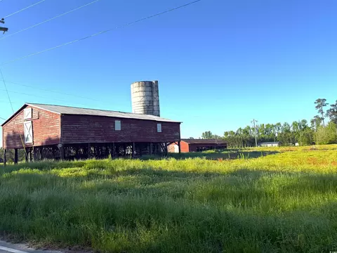 tbd Red Barn Tr Borkowitz Rd, Scranton, SC 29591 photo 6