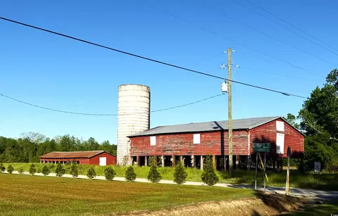 tbd Red Barn Tr Borkowitz Rd, Scranton, SC 29591 photo 5