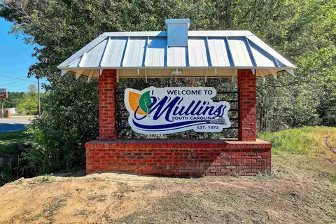Other - 1030 Fork Retch Ct, Mullins, SC 29574 photo 11 of 12