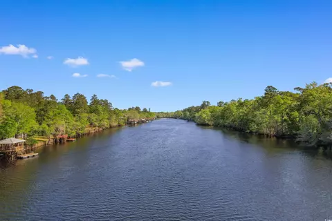 View/Area - 1030 Fork Retch Ct, Mullins, SC 29574 photo 8 of 10