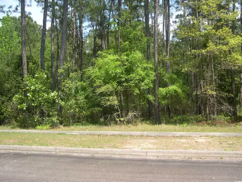 103 Pineberry Dr, Georgetown, SC 29440