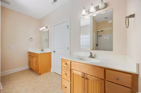 Bath - 237 Copperwood Loop, Conway, SC 29526 photo 3 of 4