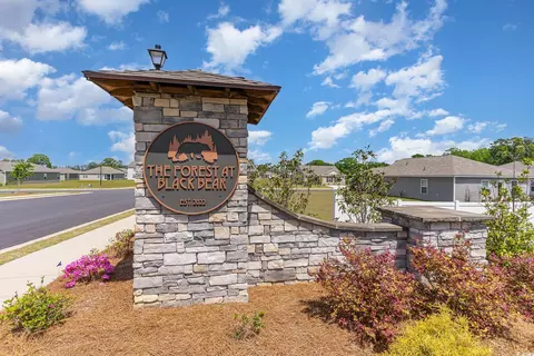 509 Wildfire Ct, Longs, SC 29568 photo 18