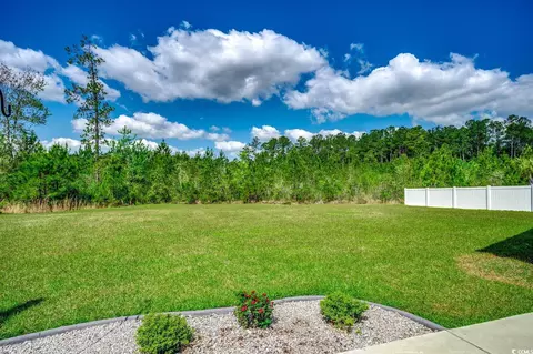 Exterior - 377 Copperwood Loop, Conway, SC 29526 photo 5 of 11