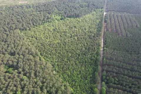 24 71acres-tbd Old Forreston Rd, Greeleyville, SC 29056