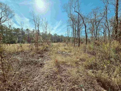 tbd 4 Pauley Swamp Rd, Conway, SC 29527