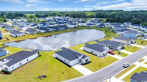 View/Area - 366 Fennec Loop, Conway, SC 29526 photo 3 of 6