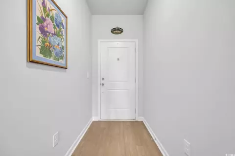 Entry Way - 366 Fennec Loop, Conway, SC 29526 photo 2 of 3