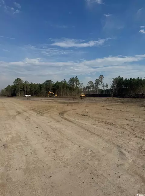 3200 Fowler School Rd, Loris, SC 29569