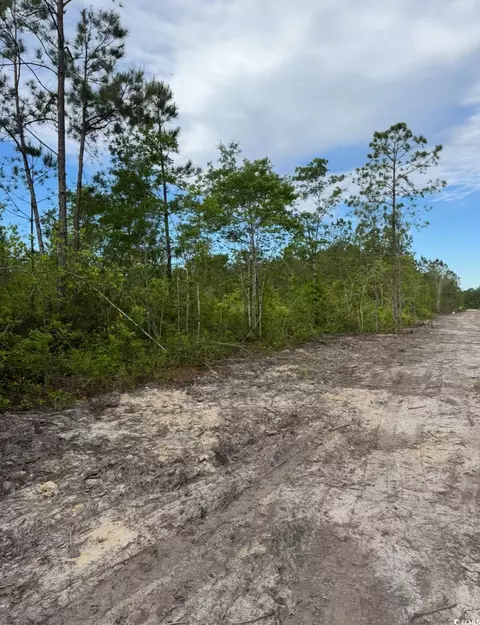 3204 Fowler School Rd, Loris, SC 29569